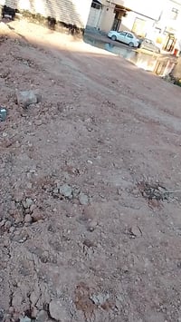 ٠٧٧٢١٩٠١٨١٧