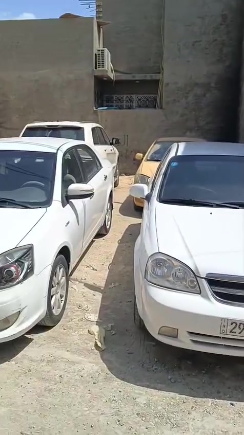 السلام عليكم قطعه أرض للبيع في منطقة الدوانم شارع بيت موزان أقرب بيت علوش سند 25 الوجهة 10 وانزال 10 هاي البيوت مبنيه كله يمهه رقم الهاتف ***********

