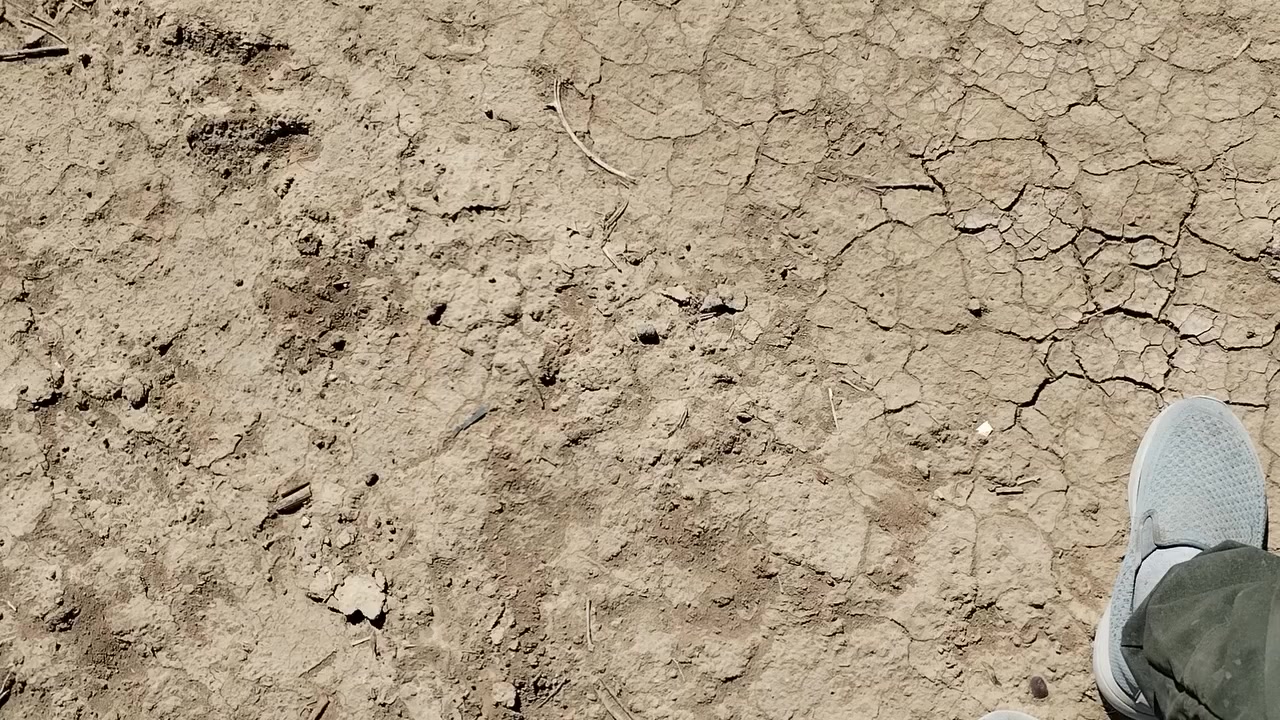 السلام. عليكم. قطعه. ١٢٥٠.متر.لبيع.قرب.جمعت.الحله.وجه.٥٠.نزال. الشارع. العام. ١٥٠.متر.. مكلف. بلنشر. ***********....***********
