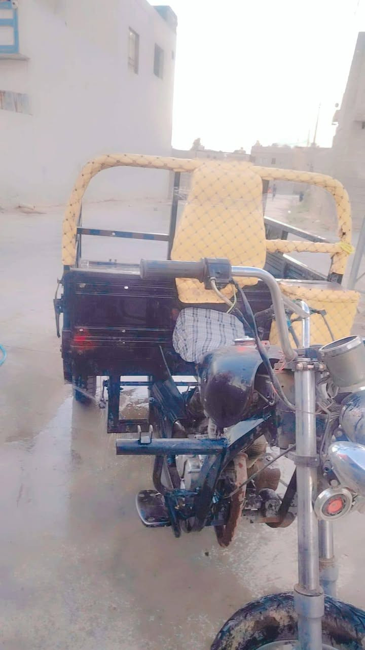 ستوته فحل موديل ١٧ للبيع سعر ٧٥٠ بيها مجال قليل
م/ ***********
