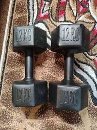 زوج دمبلز ١٢كجم • مجموع ٢٤كجم • خاجية شارع اربعين