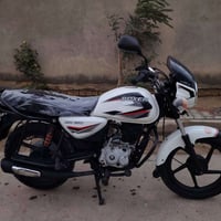 بوكسر هندي • موديل 2022 • أوراق أصلية