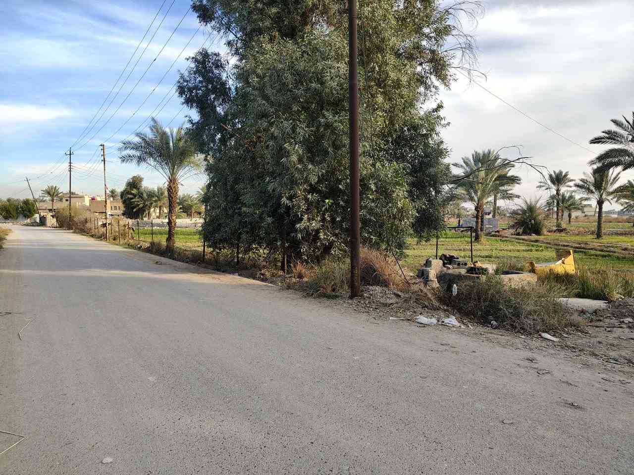 السلام عليكم قطع راضي للبيع حسب الطلب ملك صرف طابو زراعي كامل خدامات مي ومجاري وكهرباء وتبليط وقرار من ضمن البيع بسم المشتري الهاتف ***********ابو حيدر
