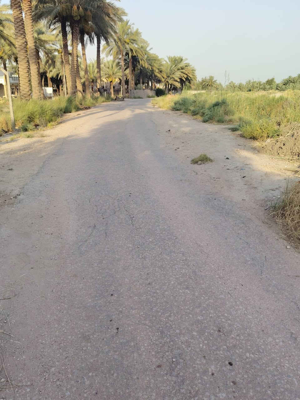 سلام عليكم يوجد دونم البيع توجد فيها كل خدمات ماء كهرباء وتبليط عنوان طريق حله بغداد 
منطقه فنديه اتصل ***********
