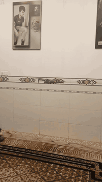 سلام عليكم اخوان درون مني 3 مثل ما واضح كدامكم ماطور برجلس كلش حلوه وتحكم سلس 50 الف مع التوصيل ***********
