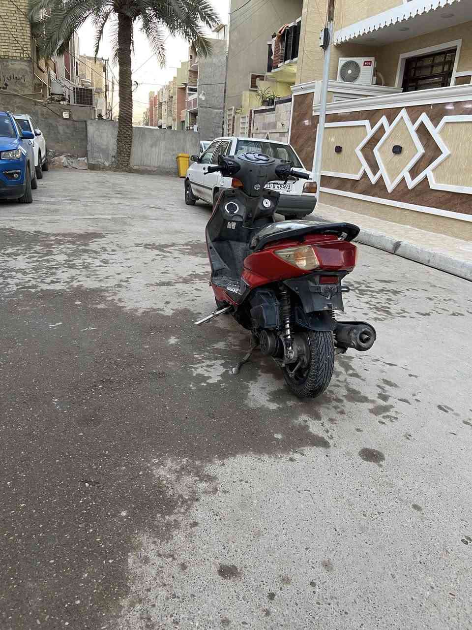 السلام عليكم سكنس فحل للبيع دراجه 58ونص الباقي كلشي بلادي بيها كم شغله رياضي صدر رياضي دراجه حلوه فقط كلاجات تعبانه كلش يرادلها كلج خلفي لين تعبان كلشي شغال ب دراجه السعر 600بيها مجال عنوان بغداد كريعات تواصل وياا هذا رقم ***********
