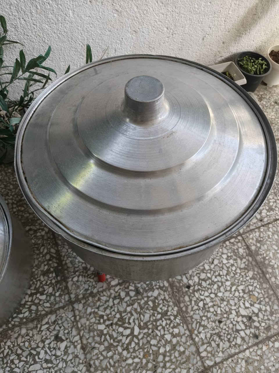 للبيع جدوره عدد 2   حجم كبير مال عزائم فافون مغلون  كيج ثخين مال قبل بحاله جيده جدا... الجدر الكبير ابعاده. قطر , 73سم..العمق 34سم.. الحجم الاصغر الجدر الثاني.. قطر67سم.. عمق.. 31سم  .. السعر....... للجدرين. بيع مستعجل ...... 80  الف. مكاني بغداد رصافه....


**إذا كنت صاحب هذا الإعلان وتريد حذفه لأي سبب، رجاءا أرسل رسالة إلى الدعم الفني**