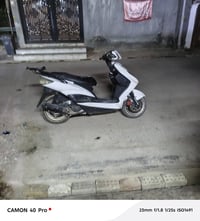 سكنس فحل • نوزل