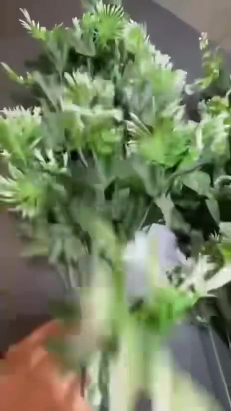 اهلا بكم 
جملة فقط
متوفر خدمة التوصيل 
 ***********
***********
رابط قناة تلكرام
https://t.me/DOV0AwEd0IAzZjRi
رابط كروب وتساب
https://chat.whatsapp.com/Gon8Dpz44ag1WB5fQZfczO?mode=gi_t
