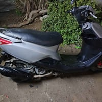 بريز • ١/١ • شعب