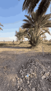 دار مع مشتمل للبيع 
المساحه 2دونم منها 900 متر طابو زراعي و 4100 عقد زراعي 
العنوان ابي غرق خلف مجمع الكوثر  
للاستفسار اكثر ***********
