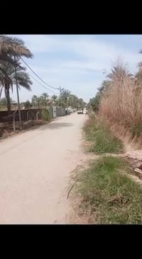 أرض • مدرسة المناجيش • ٢٥٠٠م