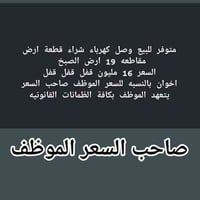 البصرة • ١٩م • ضمانات قانونية