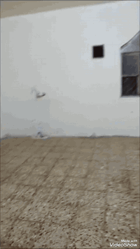 سلام عليكم 
شباب شقه في الأمن الداخلي ٣٠٠ متر تحتوي على أربع غرف ومطبخ جبير وصحيات والإضافة إلى سطح كامل بس الك 
موقعها في الامن الداخلي دور الضباط موقعها كلش حلو 
يمك كافة الخدمات الخبز الصحون المخضر الصيدليه المدارس 
المطاعم الأطباء 
للاستفسار الاتصال على الرقم ***********
طبعا ايجاره فقط ٥٥٠ الف وبيها مجال
