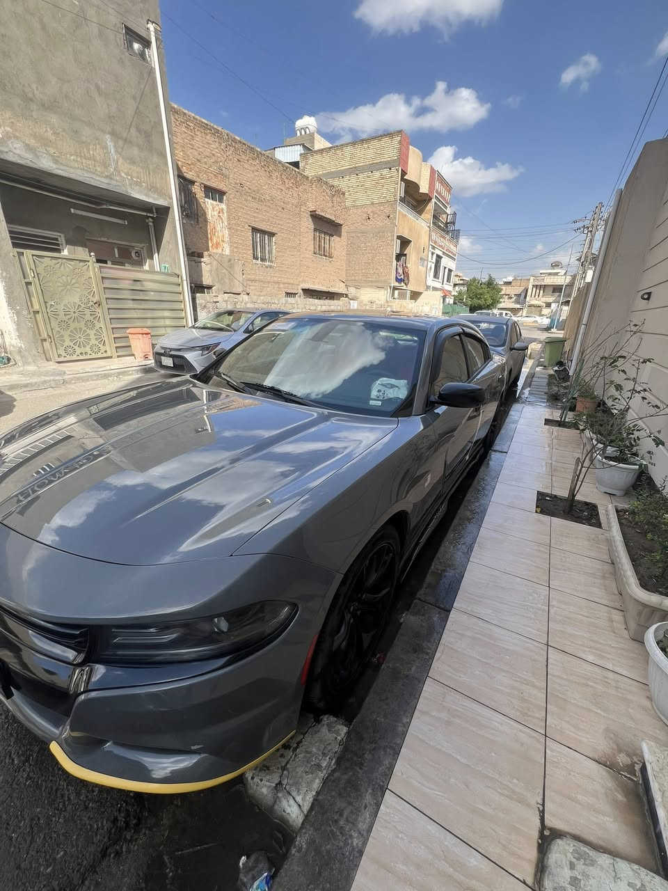 كلين بارد فقط بدون حادث 2019 sxt السعر ٢٤٠ مجال


**إذا كنت صاحب هذا الإعلان وتريد حذفه لأي سبب، رجاءا أرسل رسالة إلى الدعم الفني**