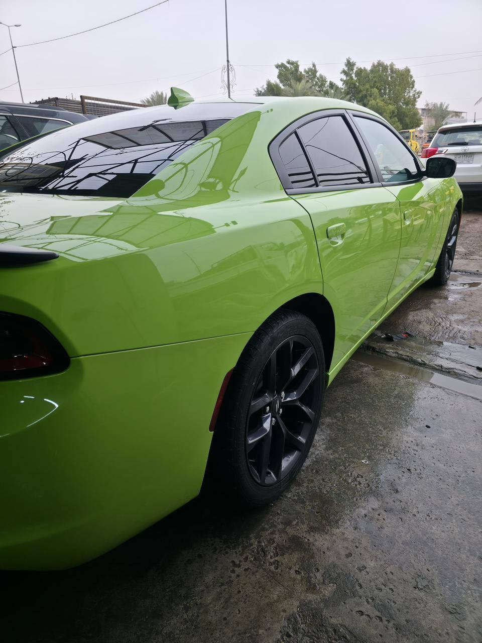 للبيع


**إذا كنت صاحب هذا الإعلان وتريد حذفه لأي سبب، رجاءا أرسل رسالة إلى الدعم الفني**