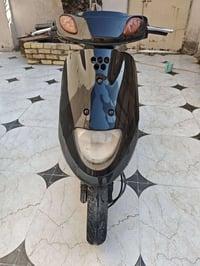 منغولي • نثية • نظيفه