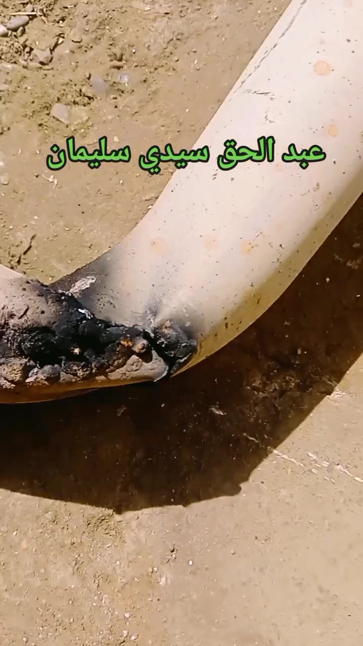 #اصلاح #شاكمة #تويوطا #هليكس


**إذا كنت صاحب هذا الإعلان وتريد حذفه لأي سبب، رجاءا أرسل رسالة إلى الدعم الفني**