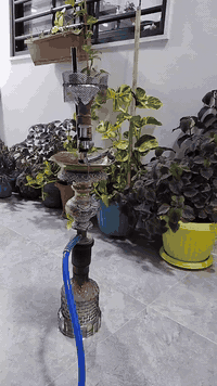 سلام عليكم نركيله طه للبيع سعر 50
وشراي خلي يتصل***********
