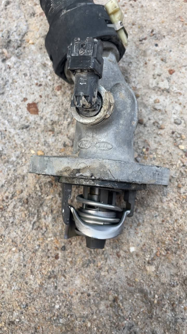 ولف حماوه اصلي كهربائي شغال اي شي مابي للبيع


**إذا كنت صاحب هذا الإعلان وتريد حذفه لأي سبب، رجاءا أرسل رسالة إلى الدعم الفني**