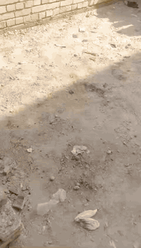 قطعة ارض تحتوي على رفت للبيع مساحة 50متر
واجهة القطعة 3.75م* 13.5م

تحتوي على تأسيس مجاري +رفت +بناء طابوق ارتفاع 1متر

الموقع الخطيب الزراعي نهاية شارع الضغط

للتواصل رسالة على الواتس ***********

لكيشن القطعة

https://maps.app.goo.gl/juNh7cLKZKpQZFMG8?g_st=ic
