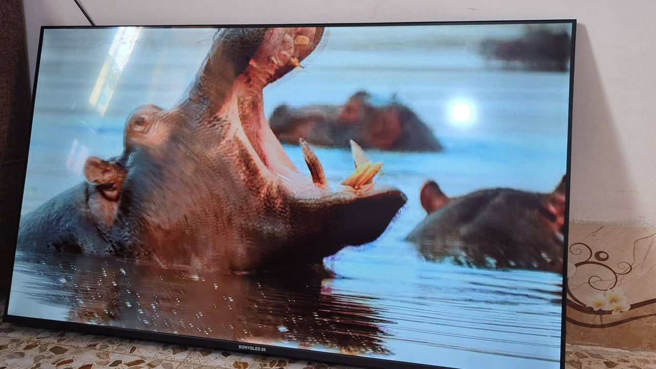 سلام عليكم شاشه حجم 65 سمارت نت فول شاشه جديده مشتريهة قبل فتره ومتروكه لان جبيره وياهة ريمونت ثنين شاشه مكفوله من كلشي تجي تشوف بعينك صورتهة تخبل صوتهة مكاني بغداد وره سيطرت الشعب


**إذا كنت صاحب هذا الإعلان وتريد حذفه لأي سبب، رجاءا أرسل رسالة إلى الدعم الفني**