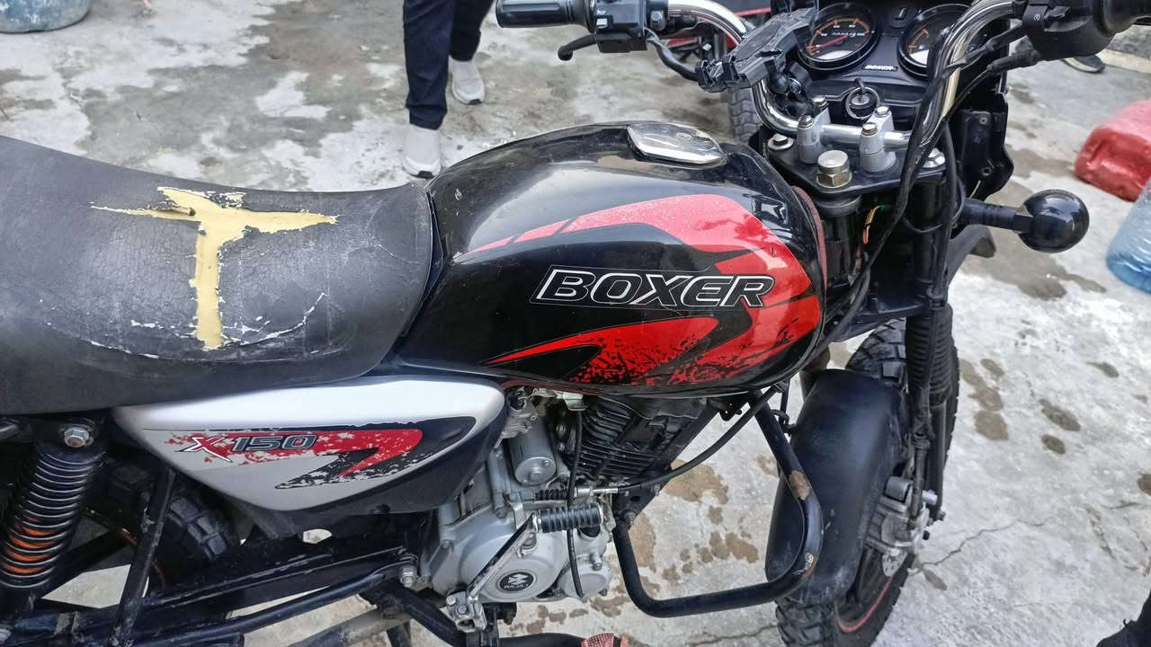 دراجه بوكسر مرقمة
رقم بغداد  موديل 2021
مستعجل ع بيعته 
سعرها مليون 650 وبيه مجال حك الجيه 
***********
