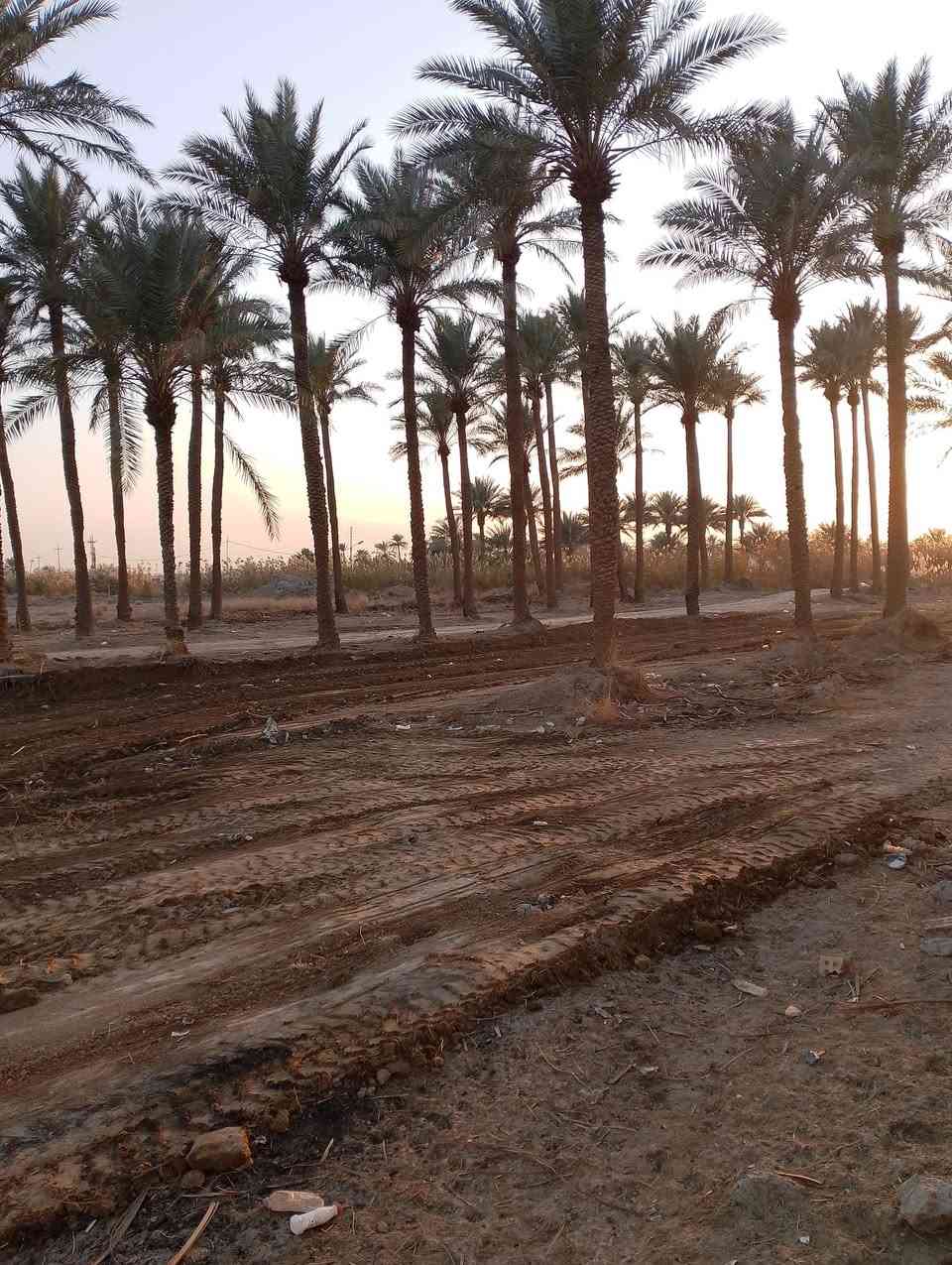 5 دوانم للبيع على سريع دوره يوسفيه مباشر كيلو 9 مجاور مجمع المرام والمزارع خدمات كامله واجهه 75 على خدمي لأستفسار ***********
