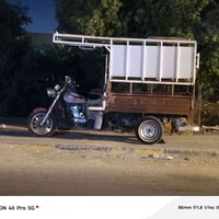 ستوته • زنون • مكفول
