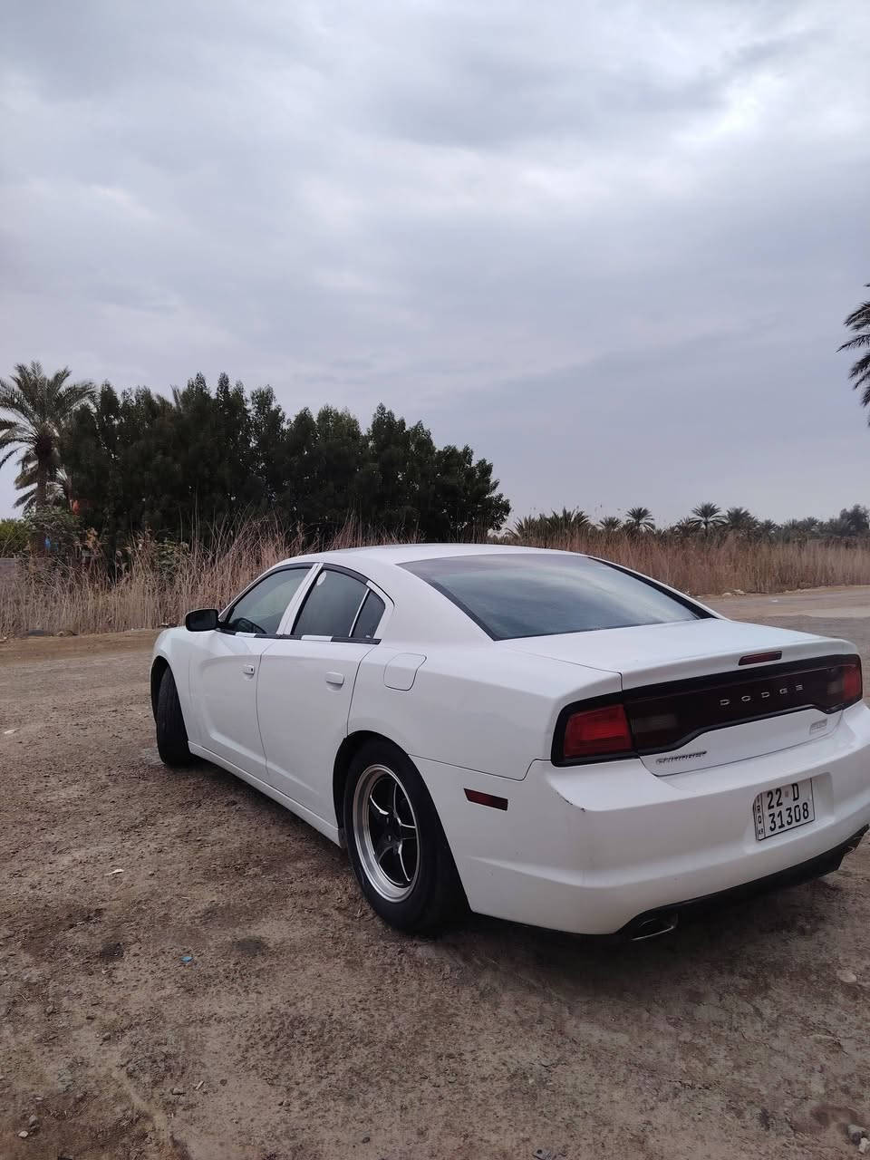 السلام عليكم جارجر 2011 رقم شمالي هزه ماصاقطه
المالك عربي ساكن بغداد سياره بيها البنيد صبغ وجاملغ امامي فتح وقبق جنطه فتح
مكان سياره بابل الشوملي 
السعر 140 وبيها مجال
***********
***********
