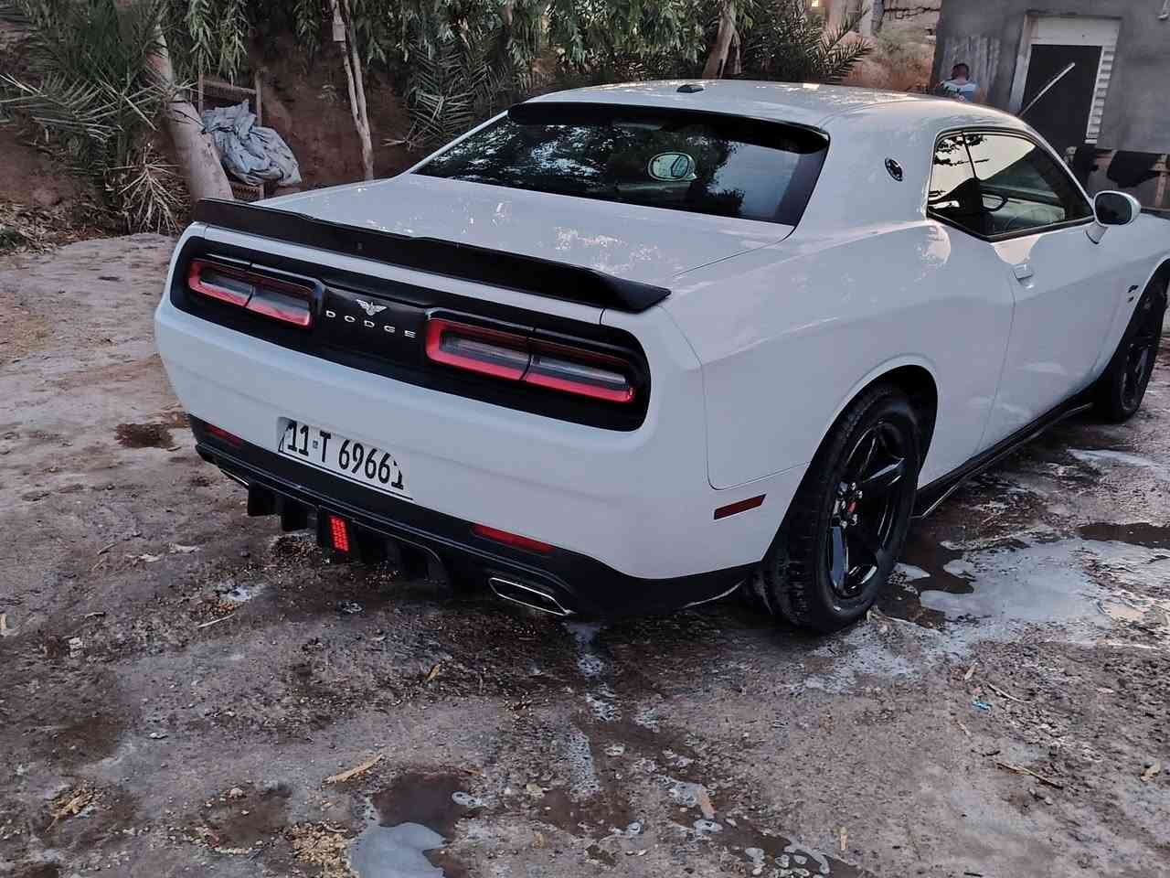 سلام عليكم جالنجر 15
السعر 135
فول فتحه شفتات ستيرن نضام سبورت جاهزه من كلشي ويل نجمه 18 وتخم تاير جديد والحادث جاملغ  وشخط بل صفحه وطعجاج بل صفحه الثانيه ونصبغت صفحتين هيج اشتريته عل وضعيته رقم بغداد انكليزي حته الهزه مساقطه
مكاني بغداد مدينه الصدر *********** وسونار موجود
