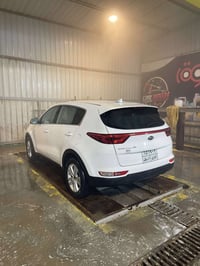 سبورتج • ٢٠١٩ • وارد أمريكا