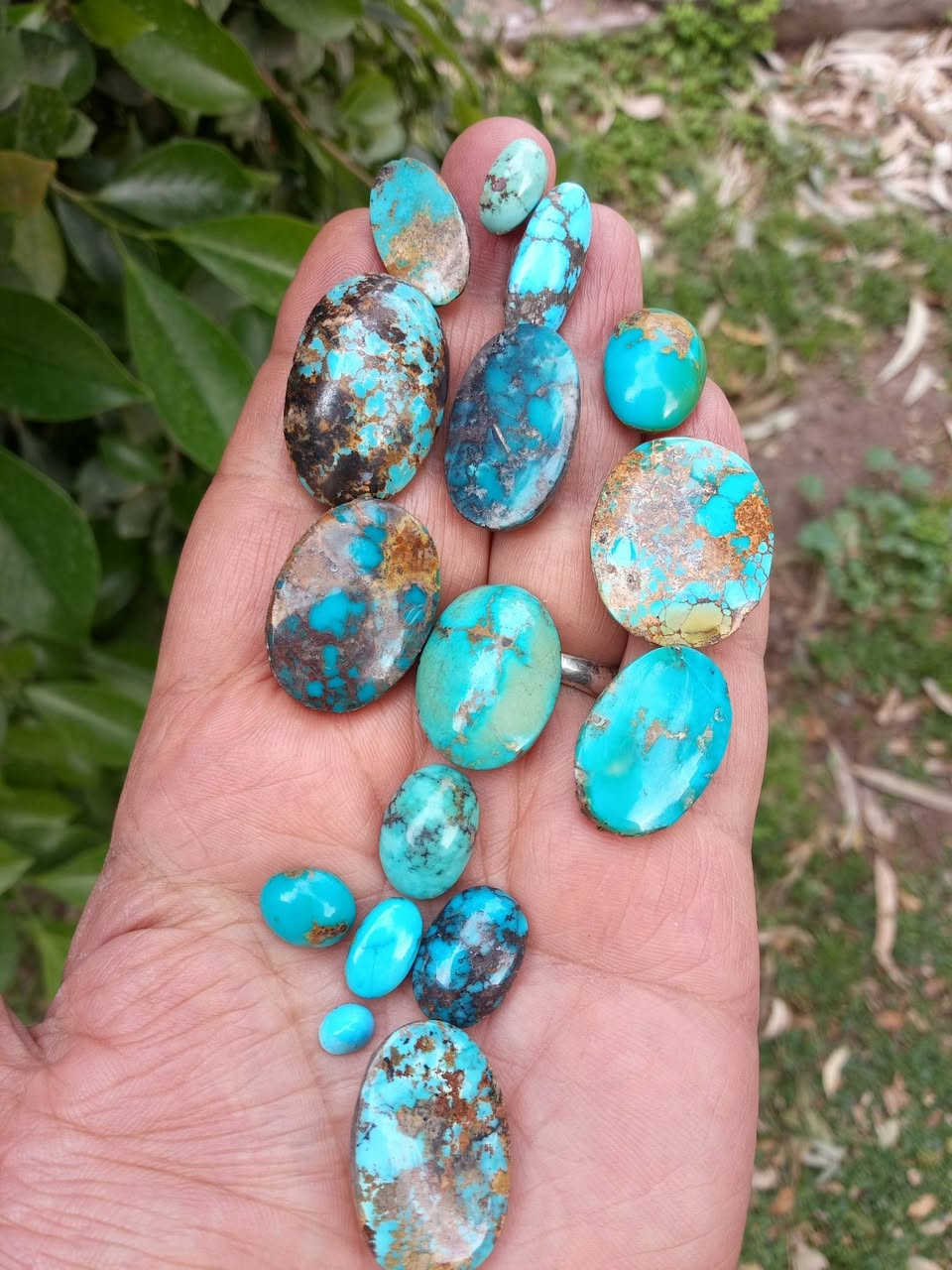 فيروزج ذمه اصلي تفضلو خاص
على باب الله سعر مناسب


**إذا كنت صاحب هذا الإعلان وتريد حذفه لأي سبب، رجاءا أرسل رسالة إلى الدعم الفني**