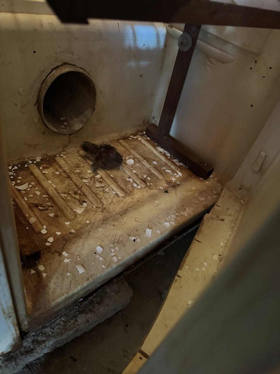 البصرة القرنة


**إذا كنت صاحب هذا الإعلان وتريد حذفه لأي سبب، رجاءا أرسل رسالة إلى الدعم الفني**