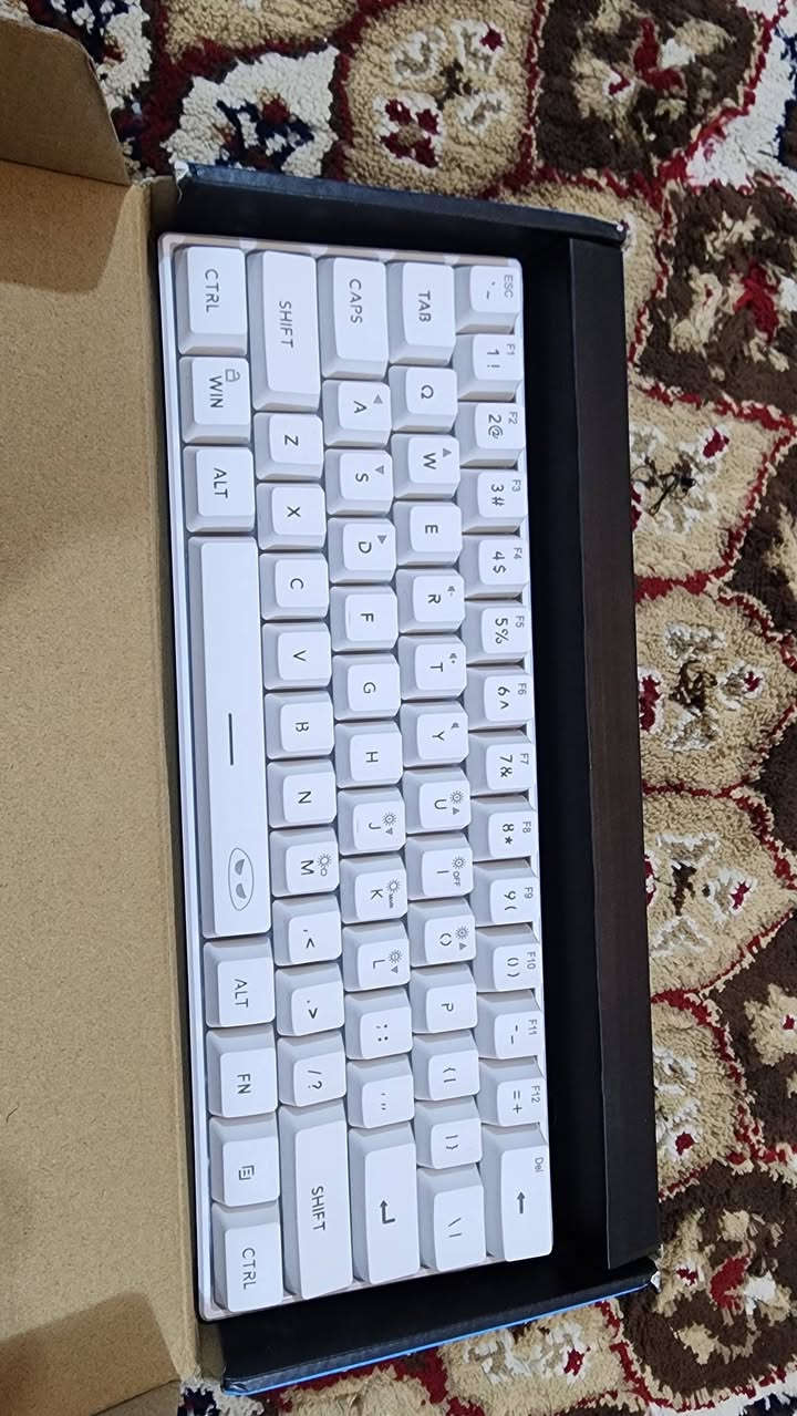 كيبورد كيمنك من MAGEGEE 
حجم 60 بالميه ارجيبي واير 🔥
نضيف كلش سعره 20  🤍


**إذا كنت صاحب هذا الإعلان وتريد حذفه لأي سبب، رجاءا أرسل رسالة إلى الدعم الفني**