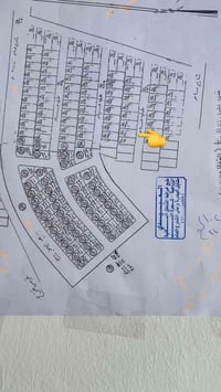 واحد اذار • ٢٠٠م • طابو فردي