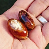 سليمانيات • خوات قديمات • توصيل سماوه
