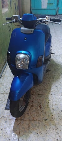 دراجة • ختم واحد • كربلاء حي العامل