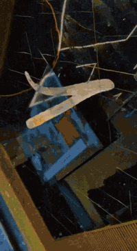 كوفي للبيع مع كامل ملحقاته
السعر مناسب لصحاب الخبره
غراض جديد معنى الكلمه
ديالى المقداديه
هـــــ.. ***********
