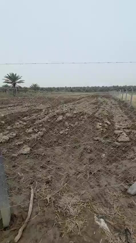 اللهم صلي على محمد وآل محمد 
أرض زراعية المساحة 4دونم سند 25باسم شخص  احد تحويل باسم المشتري جميع الخدمات ماء شرب ماء سكي سيح كهرباء الكاع حلوة تبعد عن الشط ع التبليط الفرعي بحدود 200mوعن الشارع الرئيسي بحدود كيلو ونص او اقل تباع دوانم او  كلة التوضيح اكثر داخل الفيديو للاستفسار اكثر زورو مكتبنا الكائن طويريج الحولي قرب مجسر الامام الحسن المجتبى ع تقاطع الرجيبة المجسر الجديد مكتب عقارات مدينة اطويريج للاتصال على الأرقام التالية ***********
