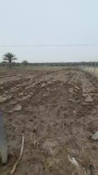 طويريج الحولي • ٤ دونم • سند ٢٥