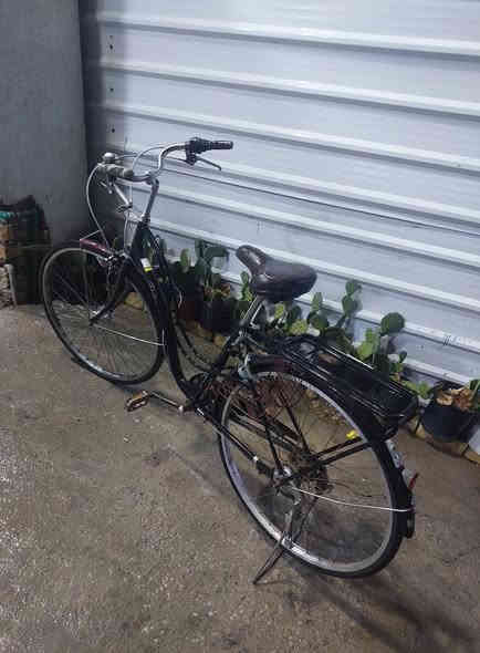 باسكلات نضيفات للبيع حجم ٢٧ والثاني حجم ٢٨ مكاني بلسريدات يم سيطرة الشعب القديمه تلفون ***********
