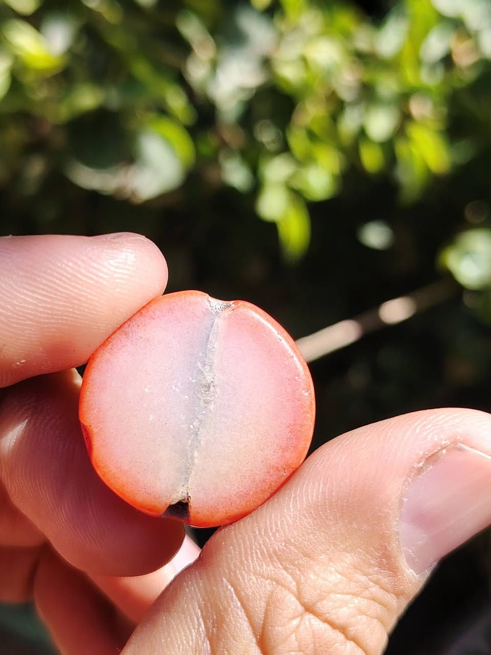 جزعه حمره قديمة ملاكط مشگوله ألمهتم يتفضل خاص ويدلل


**إذا كنت صاحب هذا الإعلان وتريد حذفه لأي سبب، رجاءا أرسل رسالة إلى الدعم الفني**