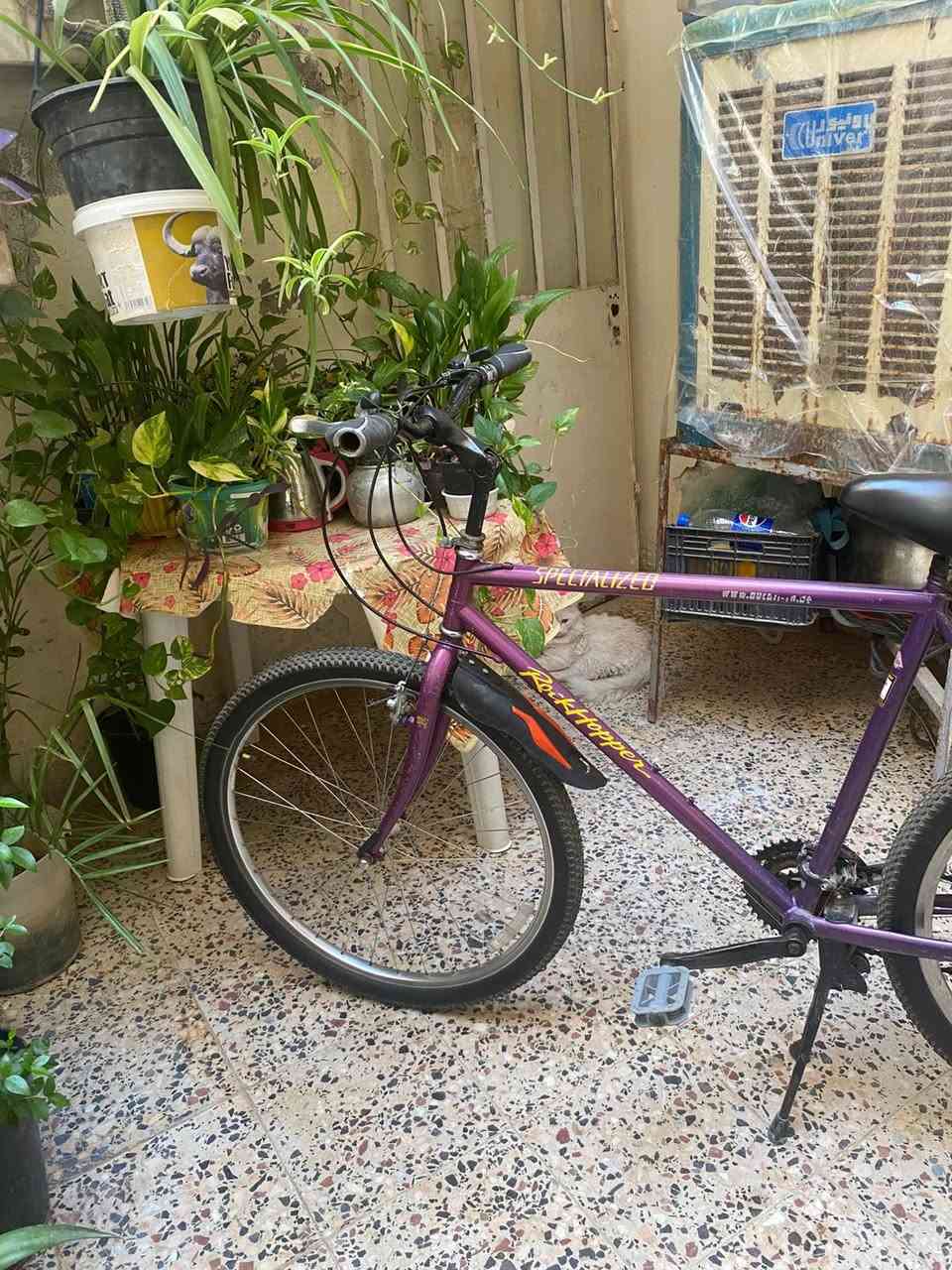 للبيع 🚲
دراجة SPECIALIZED Rockhopper الأصلية
حالة جيدة جدًا ومناسبة للمشاوير والدوام 🚴‍♂️

✔️ فريم قوي وخفيف
✔️ مريحة بالاستخدام اليومي
✔️ شكل مرتب وجاهزة للاستخدام

السعر: 125,000 دينار عراقي فقط

📍الموقع: بعقوبة - شارع خريسان
للاستفسار مراسلة خاص


**إذا كنت صاحب هذا الإعلان وتريد حذفه لأي سبب، رجاءا أرسل رسالة إلى الدعم الفني**