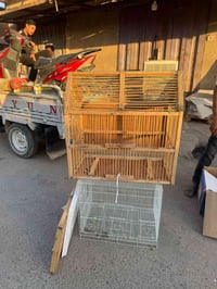 اقفاص طيور • قفص للبيع • اقفاص مستعملة • اغراض طيور • حيوانات اليفة • ...