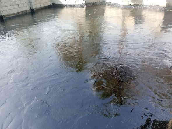 تطبيك شتايكر واعادة ماستك وترميم السطوح القديمه واعادة ماستك
✅️   إعادة ماستك مد و كوي 
✅️ قلع الماستك القديم واضافه جديد 
✅️ قلع شتايكر وتطبيك جديد
ايزوكام. 
روفت كوت 
كرسته وعمل او  بس عمل ومواد درجه اولى وبأنسب الاسعار
للاستسفار الاتص
شغل درجه اولئ وانسب الاسعار
***********
