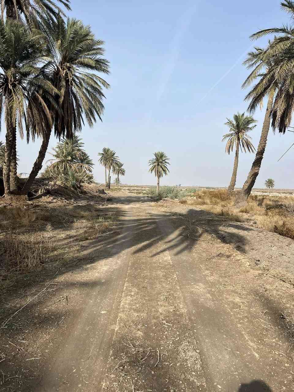 🌟 دوانم راقية الك ولعائلتك 5نجوم🌟

🔍 تبحث عن الهدوء والابتعاد عن زحمة المدينة والضوضاء؟ 🤔 لدينا الحل! دوانم طابو زراعي سنة 25، تحويل وفتح بيان مباشر باسم المشتري، وبدون دفع أي فلس إذا لم ينفتح البيان باسمك وتستلم سند 😊.

🏞️ _الموقع_:

- الدوانم كلها بالقرب منها مزارع وشاليهات وفلل 🏠

- مواقع مرتبة وكلش راقية 💯

- أرض خصبة 🌾

- مثالية للسكن والاستجمام 🌳

- دوانم الك ولعائلتك لإنشاء المزرعة او مكان للترفيه 🏞️

💰 _الأسعار_:

- تبدأ من 7 مليون دينار عراقي 🚀

- تصل إلى 30, 40, 50 مليون دينار عراقي 💸

🌟 _فرصة استثمارية_:

- للسكن 🏠

- للزراعة 🌾

- لبناء مزرعة لك ولعائلتك 🏞️

التاجي ذراع دجلة منطقت الشيخ عامر 

ليحب ياخذ لوكيشن الارض يتصل ويدلل 

📞 _للاستفسار_:***********

٧٧٦٠٦٦٦١٦٨٧

 📱

#دوانم_راقية #استثمار_عقاري #مواقع_مميزة #هدوء #راحة
