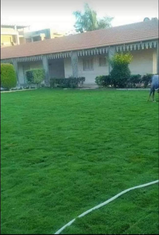 🌿 روّاد زراعة الثيل الطبيعي في ديالى! 🌿

📢 موسم جديد… جودة أعلى… وأسعار تنافسية!

💚 متوفر لدينا جميع أنواع الثيل الطبيعي:
✅ الثيل الأمريكي 🇺🇸 – جودة فائقة ومتانة تدوم.
✅ الثيل الهندي 🇮🇳 – لون زاهي ومقاومة عالية.
✅ الثيل الإيطالي 🇮🇹 – لمسة أوروبية ساحرة.
✅ الثيل الفرنسي 🇫🇷 – فخامة وأناقة خضراء.

🚛 التوصيل إلى باب بيتك!
🔹 فريق مختص يصل إليك أينما كنت.
🔹 تجهيز جميع المساحات: حدائق، ملاعب، متنزهات، مشاتل، ودوائر الدولة.
🔹 توصيل سريع إلى جميع المحافظات!

📌 الأسعار تنافسية وتختلف حسب النوع.

📞 لطلب الثيل أو الاستفسار، تواصل معنا عبر:

📱 ***********

🌱 أضف لمسة طبيعية لمنزلك أو مشروعك الآن!
