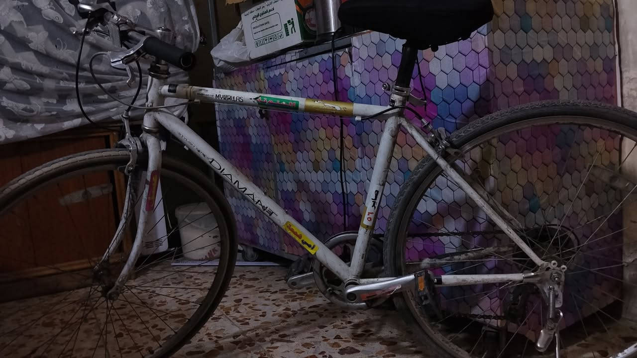 للبيع بايسكلات


**إذا كنت صاحب هذا الإعلان وتريد حذفه لأي سبب، رجاءا أرسل رسالة إلى الدعم الفني**