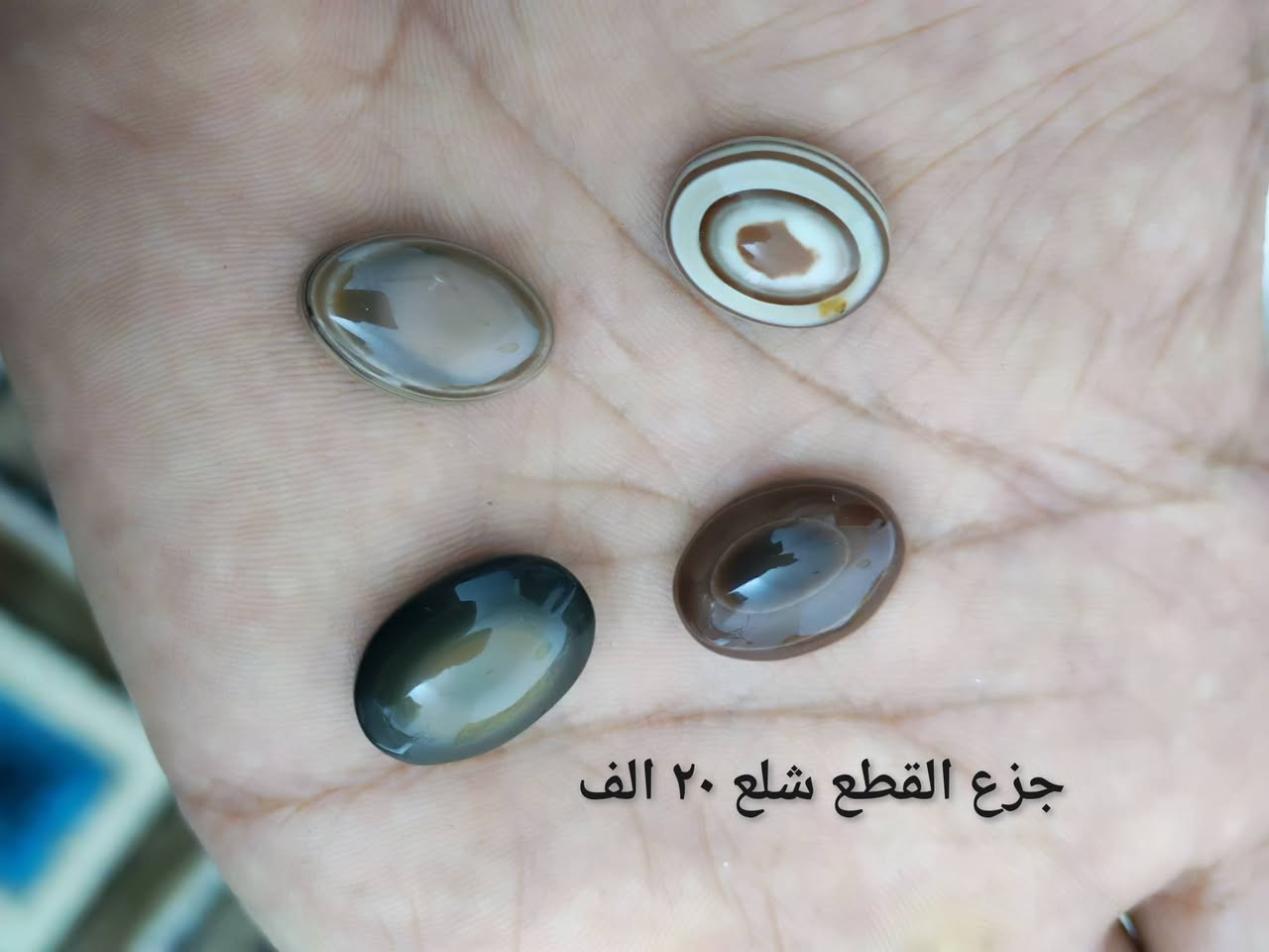 يوجد توصيل
احجار ذمة
توصلك ماعجبتك لاتستلمها


**إذا كنت صاحب هذا الإعلان وتريد حذفه لأي سبب، رجاءا أرسل رسالة إلى الدعم الفني**